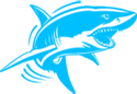 icon-blue-shark