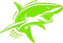 icon-green-shark